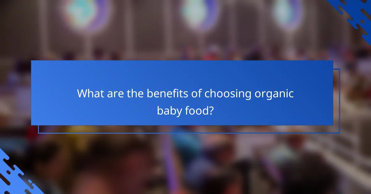 What are the benefits of choosing organic baby food?