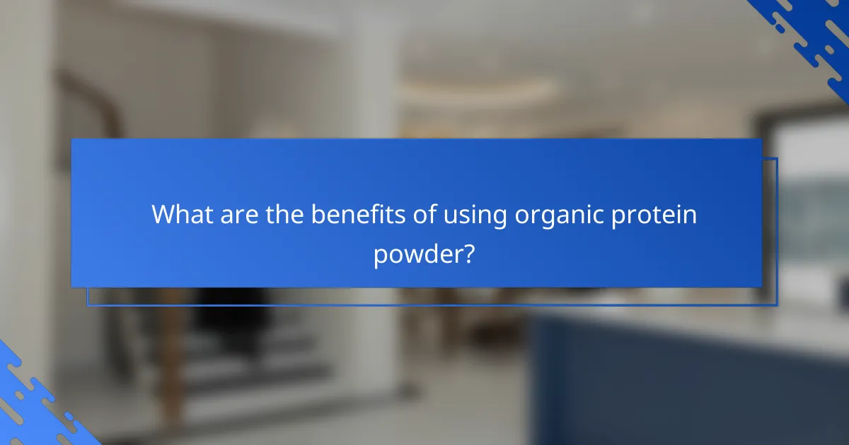 What are the benefits of using organic protein powder?