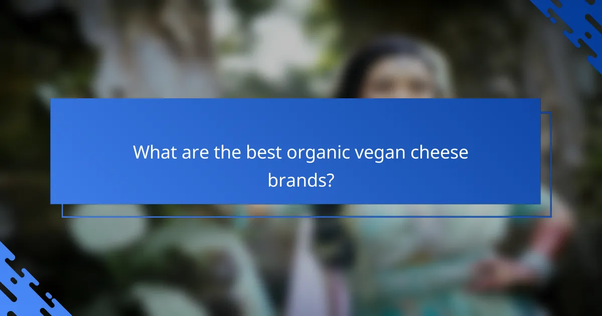 What are the best organic vegan cheese brands?