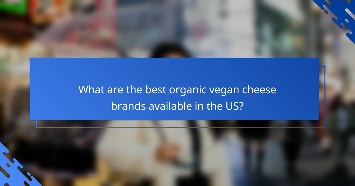What are the best organic vegan cheese brands available in the US?