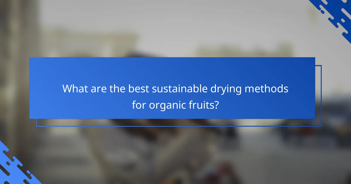 What are the best sustainable drying methods for organic fruits?