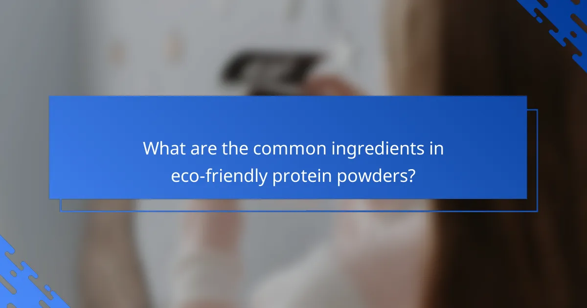 What are the common ingredients in eco-friendly protein powders?