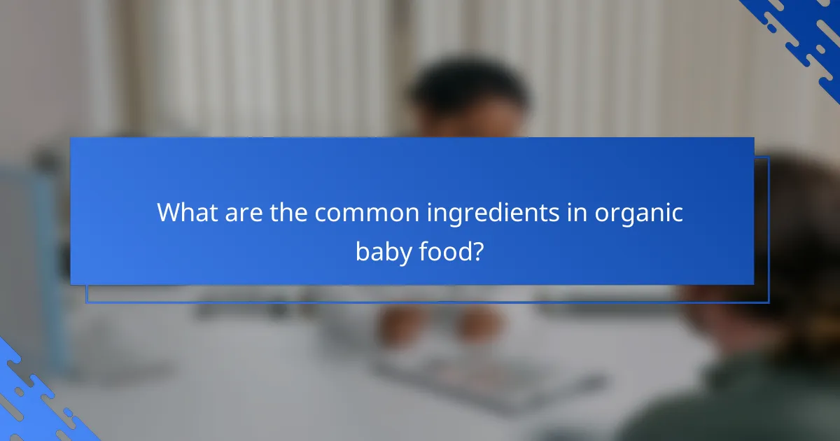 What are the common ingredients in organic baby food?