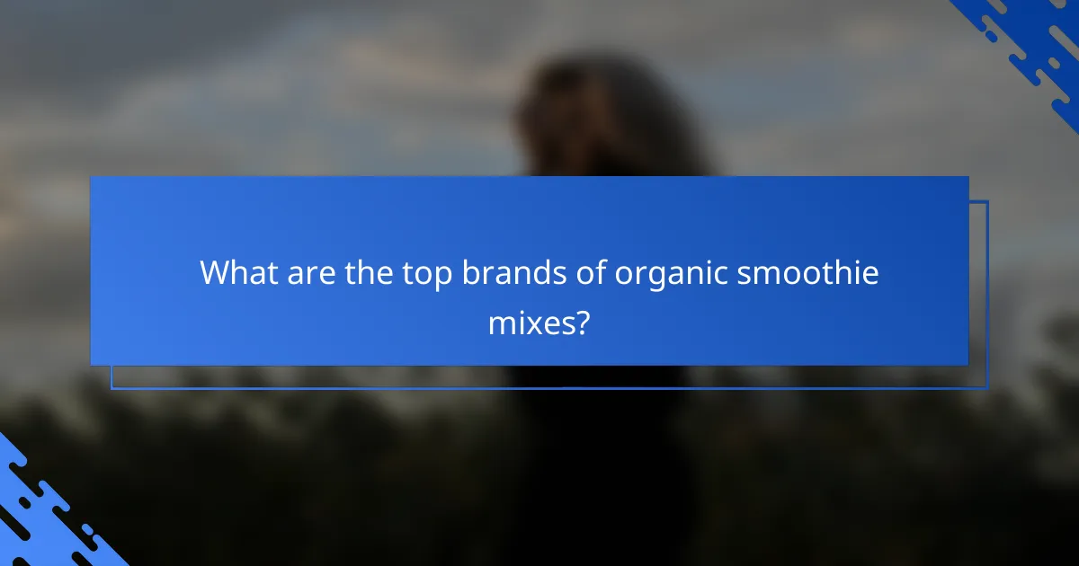 What are the top brands of organic smoothie mixes?