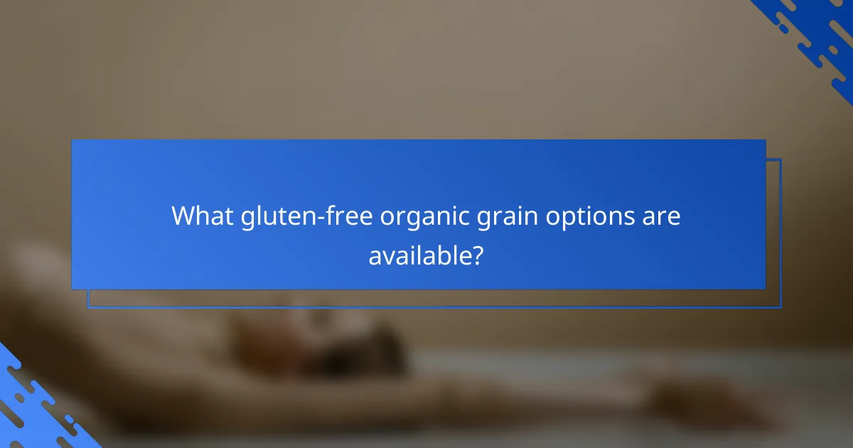 What gluten-free organic grain options are available?